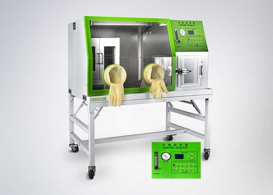 Incubateur anaérobie de laboratoire de boîte de porte à deux battants pour la culture bactérienne