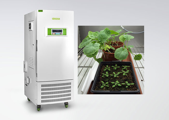 Chambre de croissance de plantes de contrôle d'humidité de la CE pour le type particulier de culture de tissu végétal