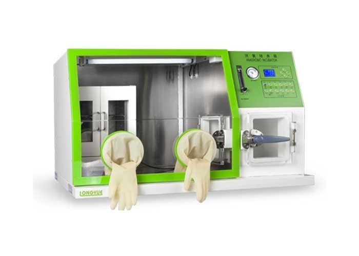 incubateur 600W anaérobie automatique pour la culture cellulaire 82×66×67 LAI-3 de laboratoire