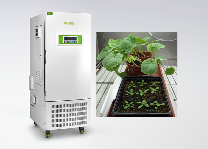 Chambre de croissance de plantes de contrôle d'humidité de la CE pour le type particulier de culture de tissu végétal